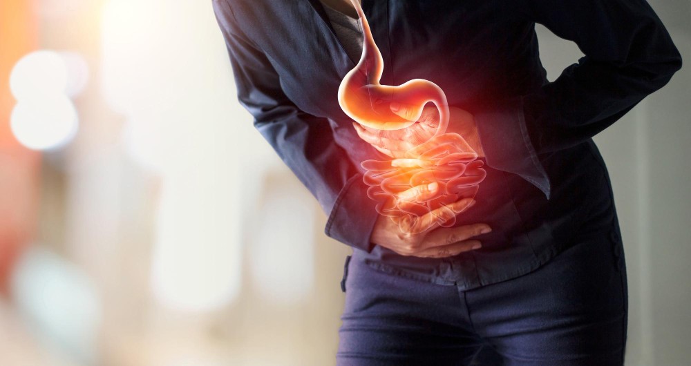 Ilustração educativa do esôfago e estômago avaliados na endoscopia digestiva